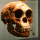 Image for article titled Portal 2 writer Ted Kosmatka imagines a world where Creationism won